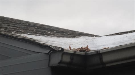 Preventing Ice Dams On Your Roof: Chapman Neil Property Solutions