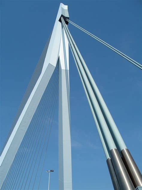 Erasmus Bridge Free Photo Download | FreeImages