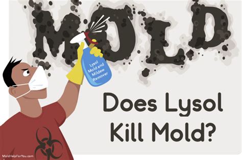 The Best Mold Removal Spray + DIY Mold Spray | Mold Help For You