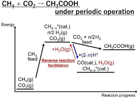 Excess CO2 Reductions during CH3COOH Formation from CH4 and CO2 under ...