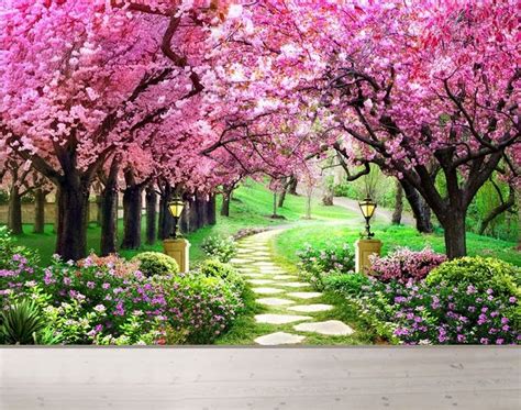 Background Pemandangan Bunga Sakura - Download 4600 Gambar Bunga Sakura Wallpaper Paling Cantik ...