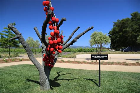 HALL Winery St Helena - The Napa Wine Project