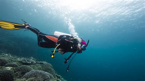 Scuba Diving at Moalboal, Cebu, Philippines - YouTube