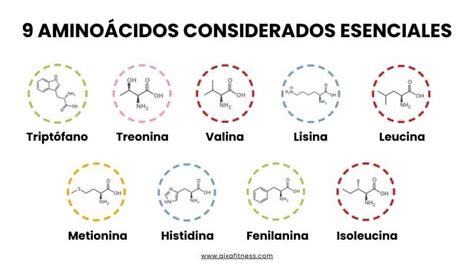 Aminoácidos Esenciales: Todo Lo Que Pueden Hacer Por tu Salud