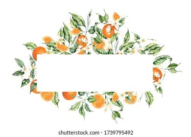 Watercolor Citrus Frames Summer Wedding Invitations Stock Illustration 1739795492 | Shutterstock