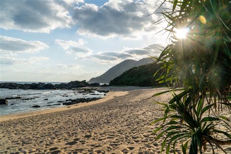 Beaches of Amami Oshima - Tourist in Japan