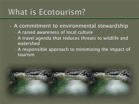 Ecotourism Examples