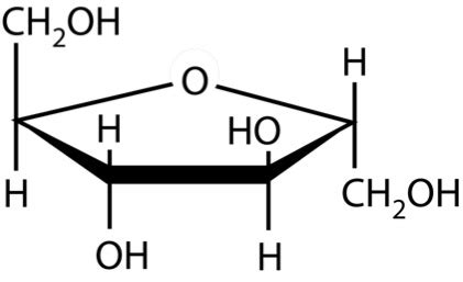 4.2 Biomass Carbohydrate Tutorial | EGEE 439: Alternative Fuels from ...