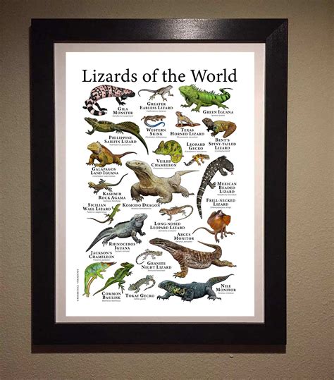 Lizards of the World Poster Print | Etsy