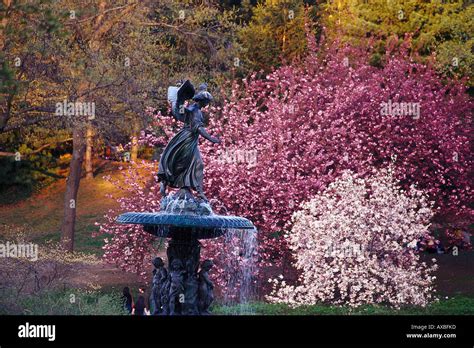 Bethesda Fountain, Central Park New York, USA Stock Photo - Alamy