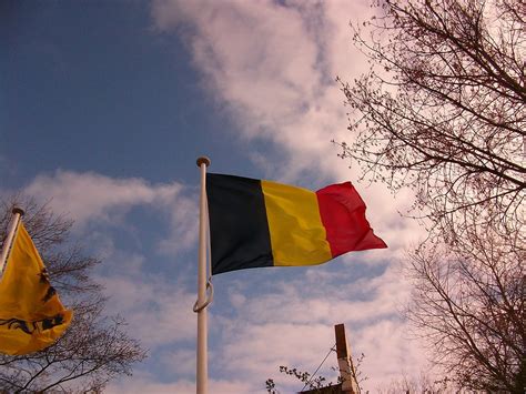 Belgium Flag | Free Stock Photo | Belgian flag | # 17828