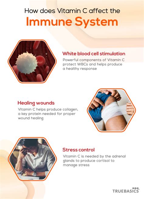 Role of Vitamin C in Strengthening Immunity - Truebasics Blog