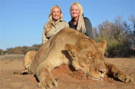 7-Day Lioness Hunt for Two Hunters in South Africa - Includes Trophy ...