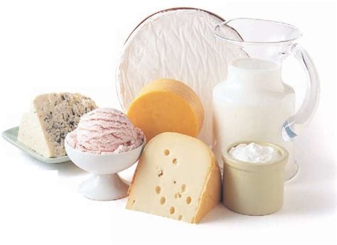 Dairy Foods