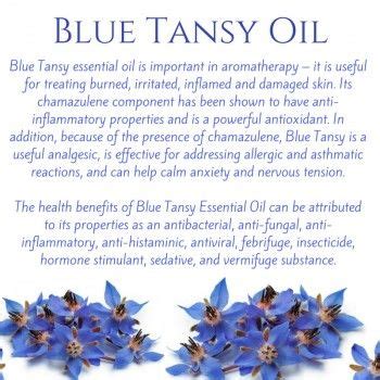 Blue Tansy Essential Oil - Organic Essential Oils