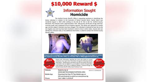 Reward raised in Rachel Morin murder case as police desperately search ...