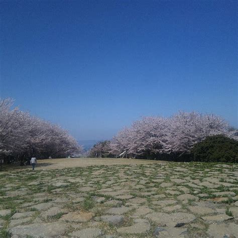 THE 15 BEST Things to Do in Kagawa Prefecture - 2021 (with Photos ...