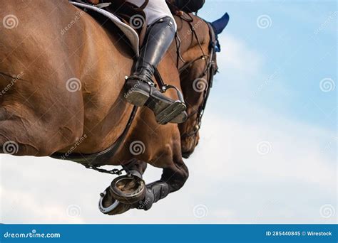 Closeup of a Horse Jumping Over an Obstacle during an Equestrian Show Stock Image - Image of ...