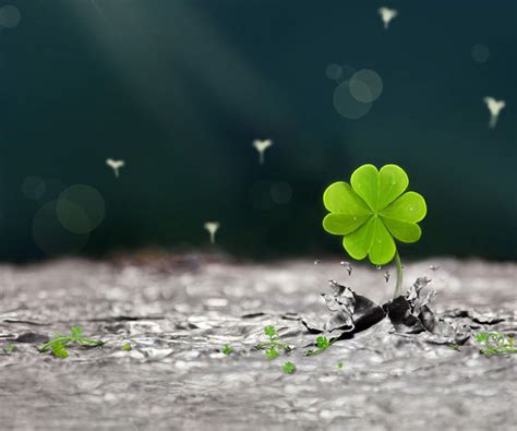 🔥 [40+] 4 Leaf Clover Wallpapers | WallpaperSafari