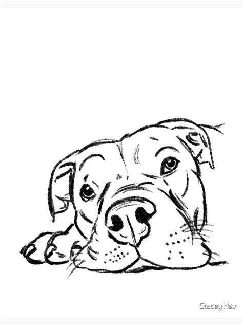 "Pit Bull Drawing, Pittie Drawing, Pit Bull Sketch, Bulldog" Art Board ...