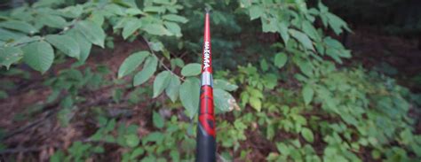 Fixed blade broadhead tuning Q&A with Lennie Rezmer - by Bowsite.com