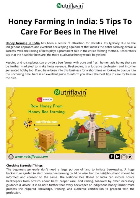 PPT - Honey Farming In India 5 Tips To Care For Bees In The Hive ...