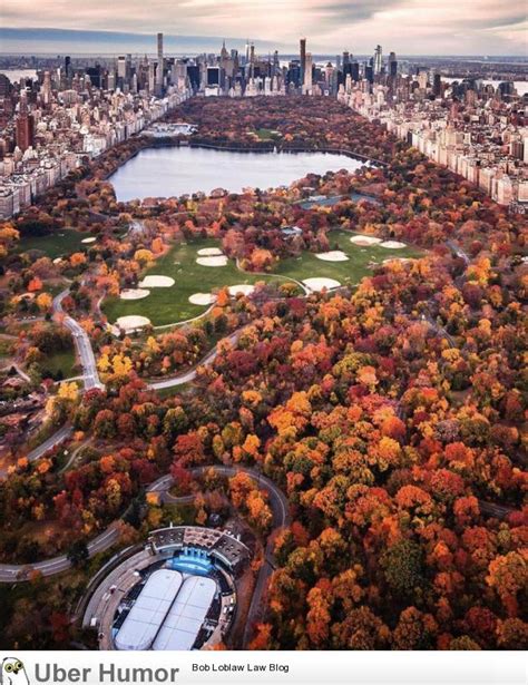 Fall in Central Park, New York | Funny Pictures, Quotes, Pics, Photos ...