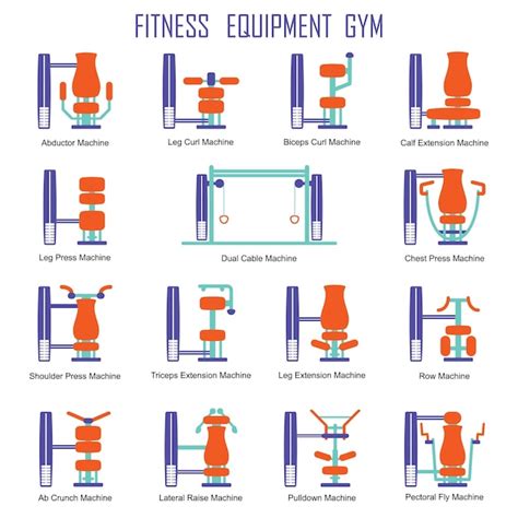 Premium Vector | Fitness equipment color