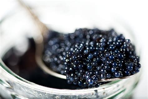 Iranian Caviar Gears Up for Strong Comeback | Financial Tribune