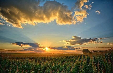 Iowa Summer Corn Fields by Bonfire Photography in 2021 | Beautiful landscape images, Summer corn ...