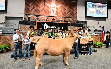 2024 Houston Livestock Show And Rodeo™ Junior Market Steer Auction Results - Houston Livestock ...