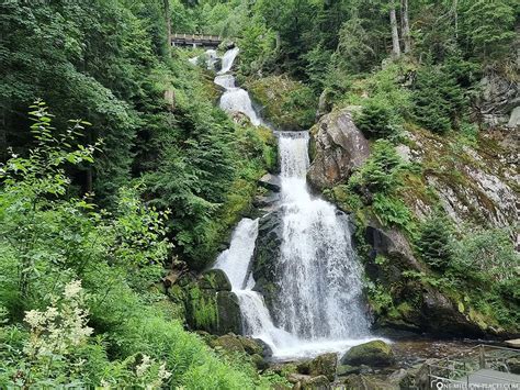 The Triberg Waterfalls - Germany's highest waterfall