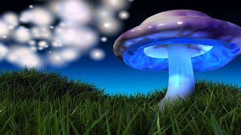 🔥 [50+] 3D Mushroom Wallpapers | WallpaperSafari