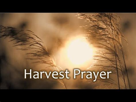 Beautiful Harvest Festival Prayers for Children and Adults in 2019