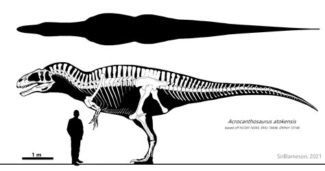 Acrocanthosaurus Skeleton