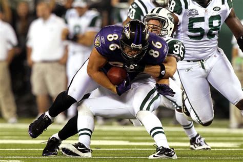 Todd Heap - Baltimore Ravens Photo (18517839) - Fanpop