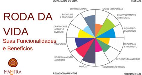 A Roda da Vida: suas funcionalidades e benefícios – MAMTRA | Movimento ...