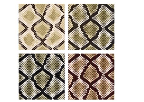 Snake skin pattern 11215037 Vector Art at Vecteezy