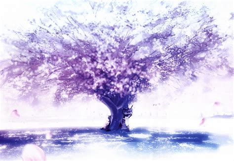 Sakura Tree with Marisa and Reimu HD Wallpaper