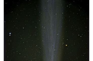 Comet Leonard Archives - Sky & Telescope - Sky & Telescope