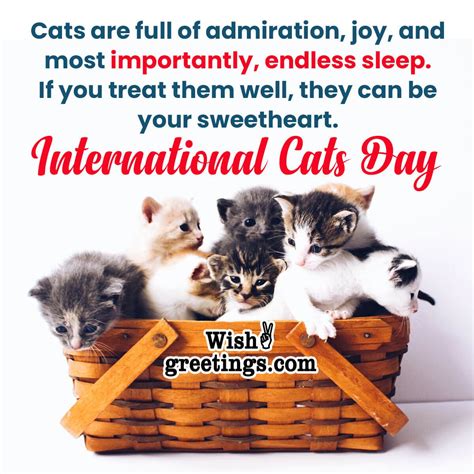 International Cat Day Wishes, Messages, Quotes - Wish Greetings