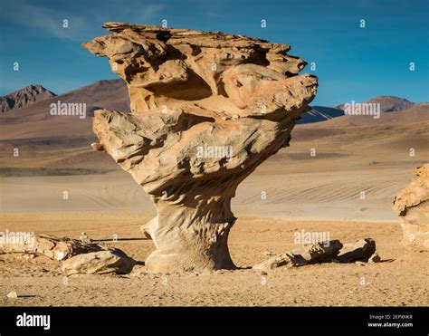 Bolivia - Arbol de Piedra (Stone tree Stock Photo - Alamy