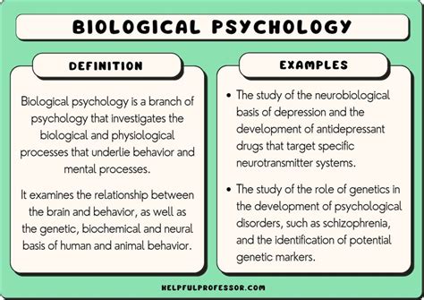 10 Biological Psychology Examples (2024)