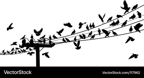 Birds on power lines Royalty Free Vector Image