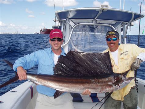 Sailfish Fishing Charter Trips | Miami & South Florida