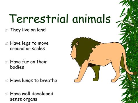 🎉 Definition of terrestrial animals. Non. 2019-02-27