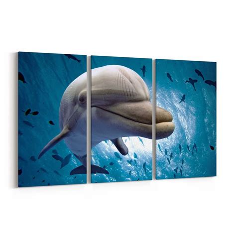 Dolphin Canvas Print Dolphin Wall Art Canvas Multiple Sizes - Etsy in ...