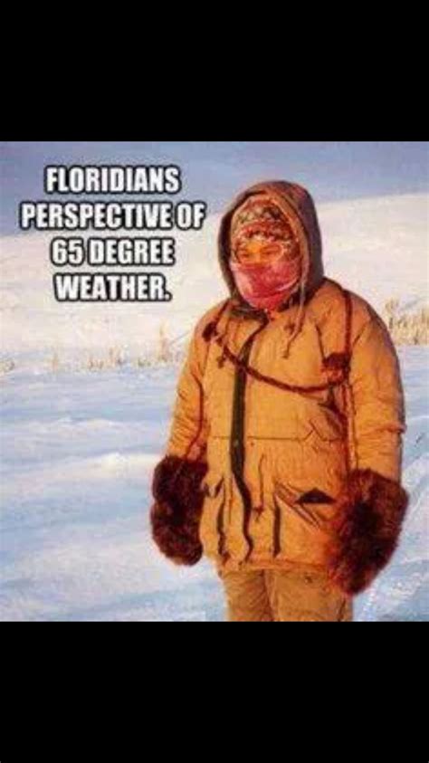 Florida Cold Weather Jokes | Freeloljokes