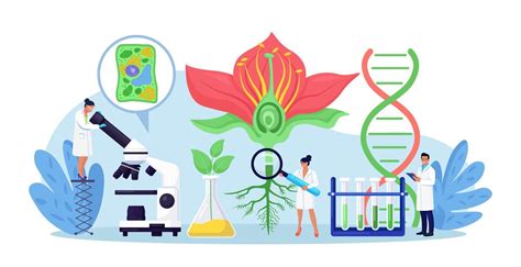 Biology, botany subject. Biologist exploring nature. Scientist make laboratory analysis of life ...