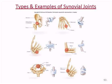 Plane Joint Examples